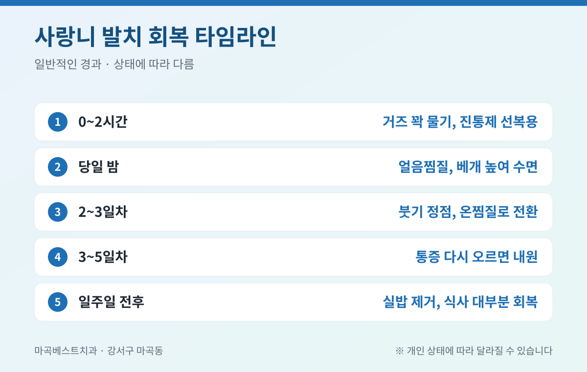 강서구 사랑니 발치 핵심 정리 인포그래픽 - 마곡베스트치과