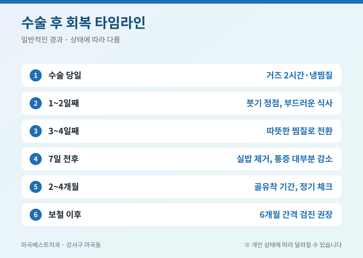 마곡 임플란트 핵심 정리 인포그래픽 - 마곡베스트치과
